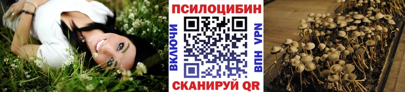 Псилоцибиновые грибы мицелий  Купить где  Апрелевка 